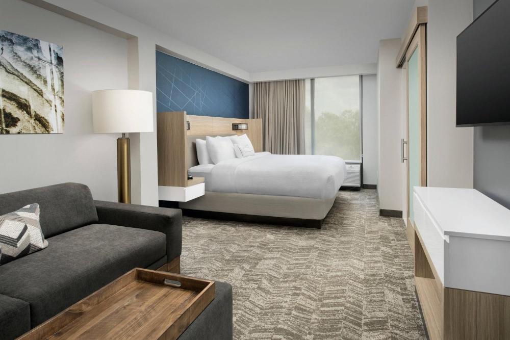 King Suite with Roll-In Shower and Sofa Bed - Mobility Access interior